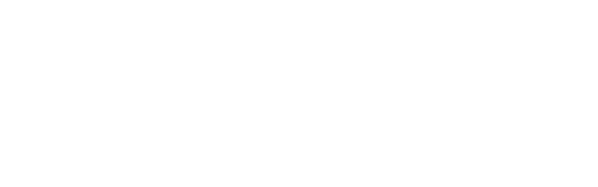 Snow Bird Technologies